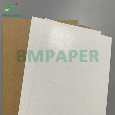 325g 350g White Coated Brown Back Kraft Board For Making Packaging Box