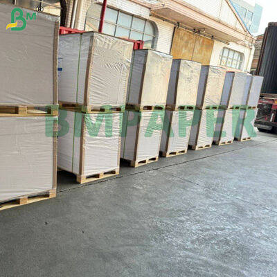 Cartone patinato bianco surgelato per imballaggio gelato e basi per torte