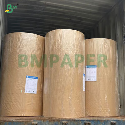 Kit 3 Kit 5 Kit 7 Rotoli di carta oleata resistente allo sbiancamento e degradabile