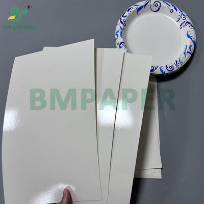 Cartone rivestito 70x100cm 300gsm +15PE per stampa scatole per il pranzo