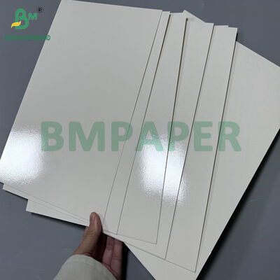 Cartone rivestito 70x100cm 300gsm +15PE per stampa scatole per il pranzo