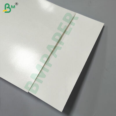 Carta base per bicchieri di carta per uso alimentare, rivestita in PE mono/bifacciale 180-350 g/m²