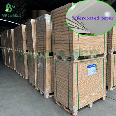 Carta bianca patinata di grado alimentare da 300 g/m² 350 g/m² per scatole per il pranzo 70 x 100 cm