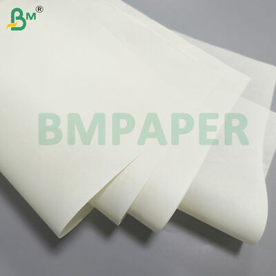 Carta per la Bibbia ultra leggera senza rivestimento