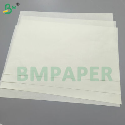 Carta per la Bibbia ultra leggera senza rivestimento