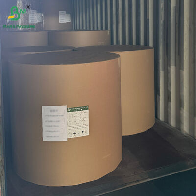 Cartone CCNB rivestito in PE da 18PT 24PT per scatole di imballaggio per alimenti surgelati