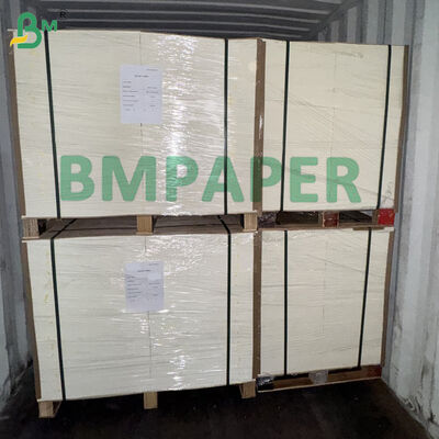 40 Pt Cartoncino Naturale Non Patinato con Buona Assorbenza