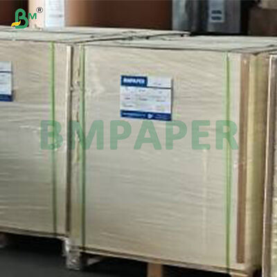 Carta di carta patinata PET per alimenti, sicura, atossica, resistente alle alte temperature