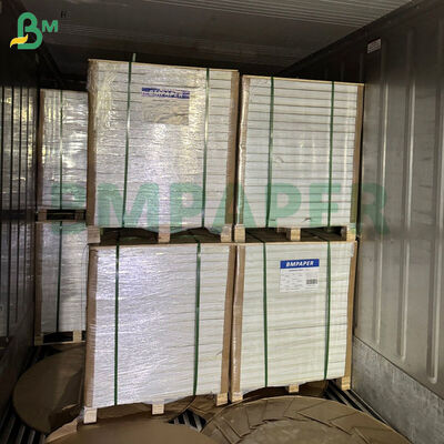 Carta patinata 12 x 18 pollici 300 gsm 350 gsm, 1 lato bianco, per stampa offset