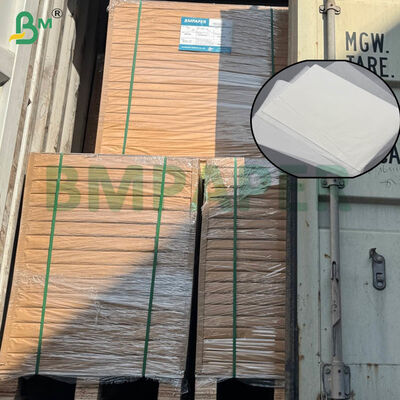 Fogli di carta per filtri per caffè certificati di qualità alimentare con opzioni di grandi dimensioni e doppio grammaggio per la fabbricazione domestica e commerciale