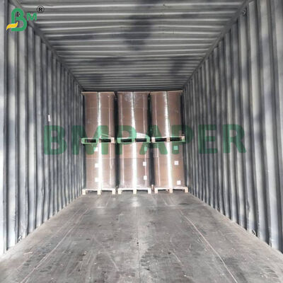 Carta trasparente colorata per alimenti 23gsm per cottura / fodere per cheesecake