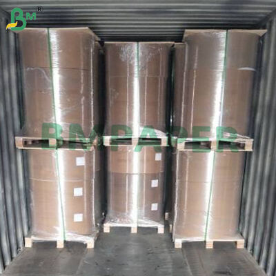 Carta da forno antiaderente per friggitrice ad aria, vaporiera, forno, bianco e naturale