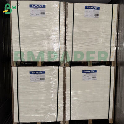 Cartoncino per sottobicchieri da birra 460gsm 0.8mm | Carta assorbente fogli 1200mm x 840mm