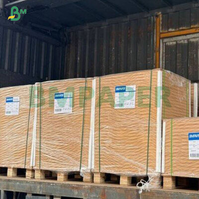 Cartoncino per alimenti CKB marrone da 360g con buona rigidità in fogli