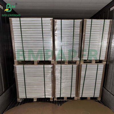Carta per blister bianca C1S da 250 g/m² 270 g/m² per confezioni al dettaglio 70 x 100 cm