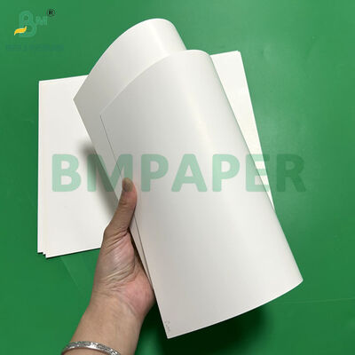 Carta per blister bianca C1S da 250 g/m² 270 g/m² per confezioni al dettaglio 70 x 100 cm