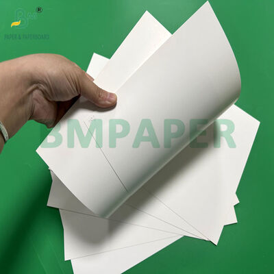Carta per blister bianca C1S da 250 g/m² 270 g/m² per confezioni al dettaglio 70 x 100 cm