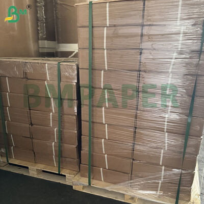 A0 Largo formato CAD Plotter Paper Rolls 80gm. 914mm × 50m, 5 Rolls Per Cartone