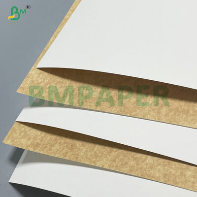 100% Polpa di Legno Vergine 280gsm 300gsm Cartone Kraft Bianco Patinato per Contenitori Alimentari