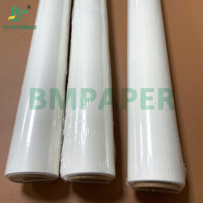 Resistente alle alte temperature 38gm Forni bianchi Rollo di carta da forno 15 in X 30 ft