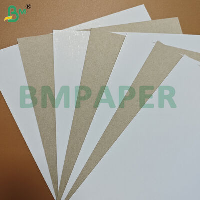 Cartone duplex bianco patinato su un lato con retro grigio, spessore 1 mm