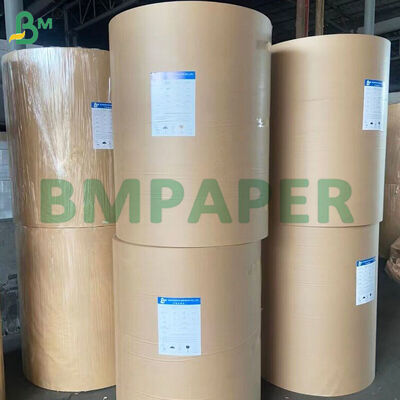 42 gsm Carta da Forno Bipatinata in Silicone in Rotoli