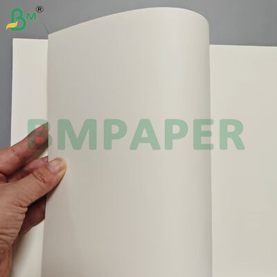175 gm+10 gm PET Coating Heat Resistant Food Box Sheets