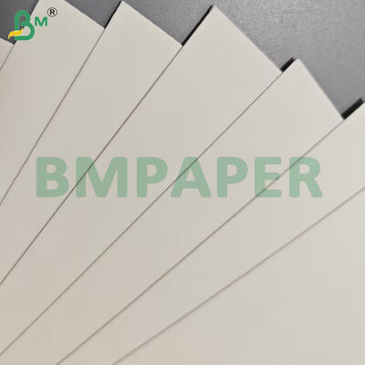 175 gm+10 gm PET Coating Heat Resistant Food Box Sheets