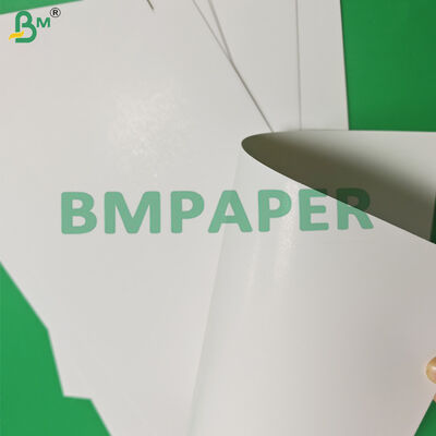 275 gm 325 gm GC2 Folding Box Board per imballaggi da forno 760 x 1020 mm OBA Free