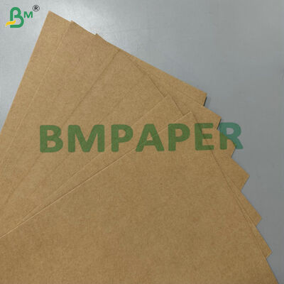 Carta di base in bagassa di canna da zucchero 200gsm 300gsm compostabile al 100% per uso alimentare e resistente al grasso per stoviglie usa e getta