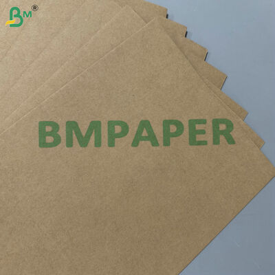 Carta di base in bagassa di canna da zucchero 200gsm 300gsm compostabile al 100% per uso alimentare e resistente al grasso per stoviglie usa e getta