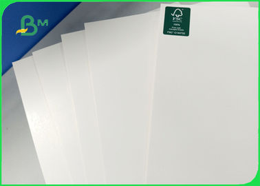 Larghezza 700×1000 mm Buona morbidezza 270gm 300gm 350gm Fabbricazione in cartone d'avorio