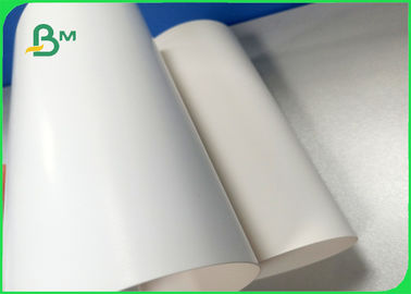 Larghezza 700×1000 mm Buona morbidezza 270gm 300gm 350gm Fabbricazione in cartone d'avorio