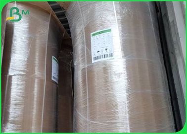Rollo di carta kraft di bambù ecologico 50GSM - 250GSM