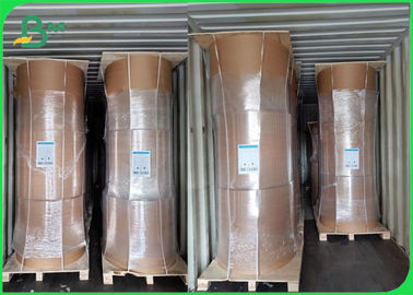 Rollo di carta kraft di bambù ecologico 50GSM - 250GSM