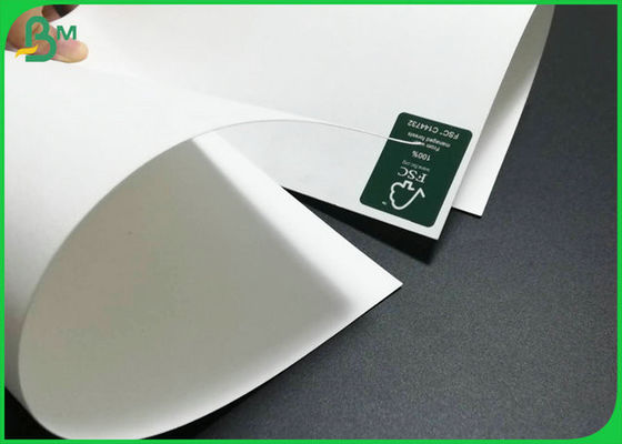 avorio Bristol Board Good Stiffness di 300gsm C1S approvato dalla FDA per la fabbricazione del vassoio