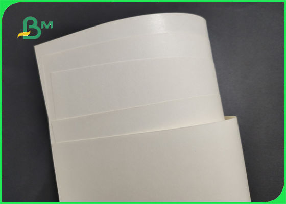 Il commestibile 190gsm + 30g PE Cupstock ha basato l'articolo per il supermercato liscio