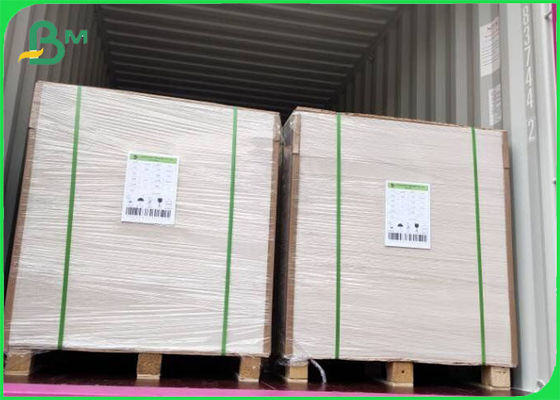 Carta d' avorio FBB rivestita in polpa vergine 305g / 345g Offset Printing