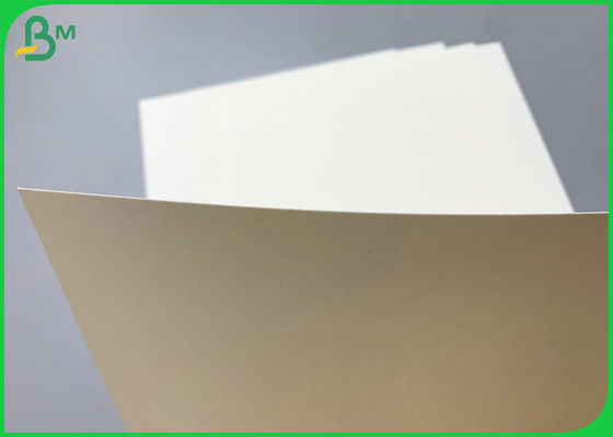 Il PE di 230g diplomato SGS 260g ha ricoperto il rotolo di carta basso di Cupstock 850mm