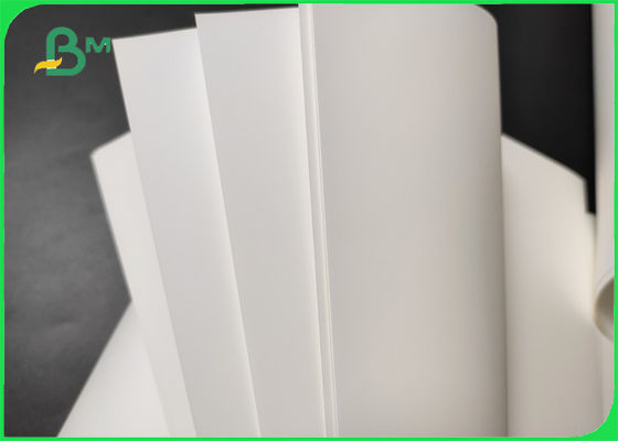 Entrambi i lati Matte Coated Synthetic Paper 150um per le esposizioni retroilluminate