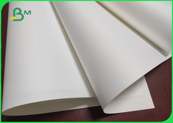 Entrambi i lati Matte Coated Synthetic Paper 150um per le esposizioni retroilluminate