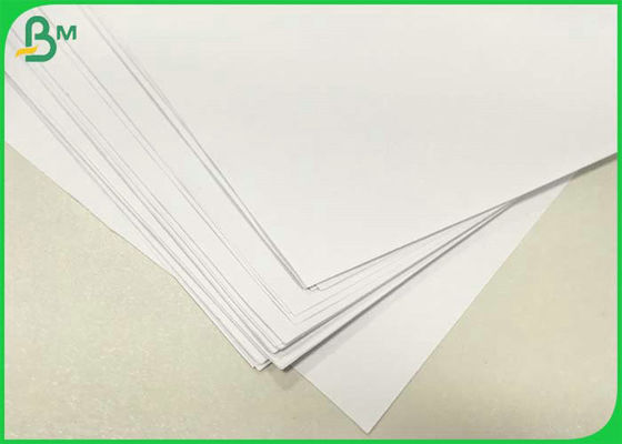 160 g 200 g 850 mm Carta di legno per la produzione di sacchetti per buste