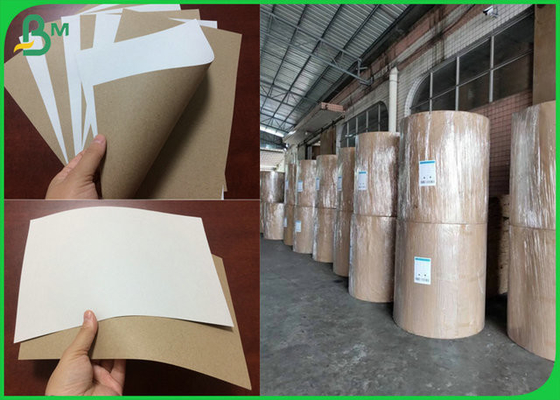 Cartone riciclato del rotolo 170gsm 200gsm C1S Grey Back Paper For Beer di Jumbol della polpa