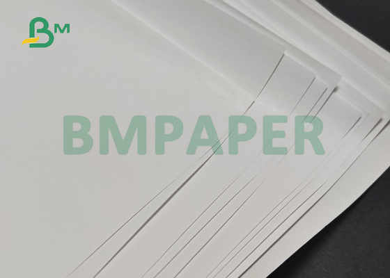 il rotolo termico di carta da stampa 55gsm per il BANCOMAT di posizione rilascia una ricevuta 600mm 650mm BPA liberi