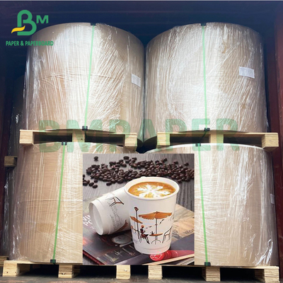 Noddles Bowl 225gm impermeabile PE rivestito tazza di caffè roll di carta