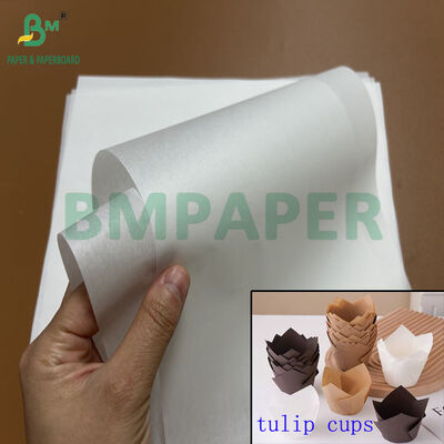 Carta anti-grasso per uso alimentare da 30 gsm 40 gsm per coppette da muffin a tulipano, bobina da 1100 mm 1200 mm