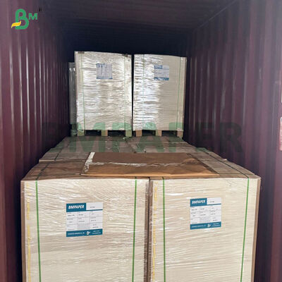 100% Polpa di Legno Vergine 280gsm 300gsm Cartone Kraft Bianco Patinato per Contenitori Alimentari
