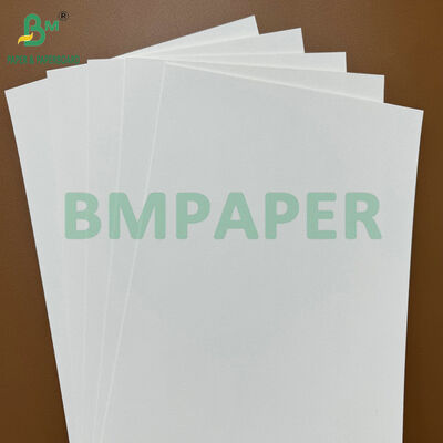200 grammi di carta di base assorbente grezza eco-compatibile per la fabbricazione di tappeti da birra e coppe