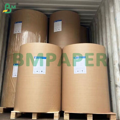 Fogli di carta per tazze rivestite in PE da 250 g/m² + 10 g/m² per realizzare bicchieri di carta