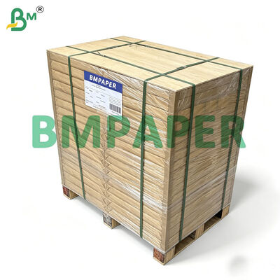 Carta da forno con rivestimento in silicio 42 gr, carta da forno 500 mm x 600 mm